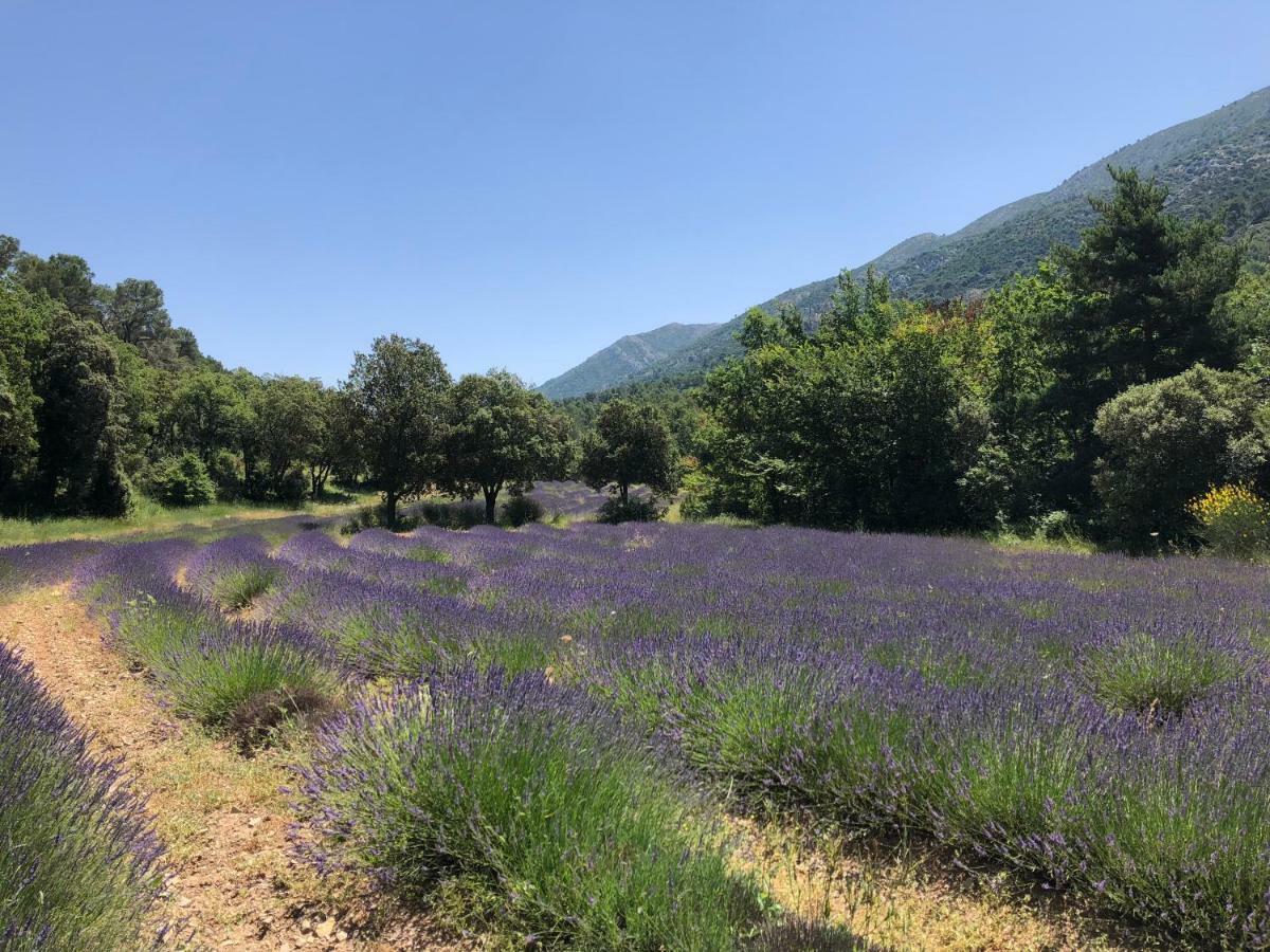 Aix Homes Aix-en-Provence Zewnętrze zdjęcie